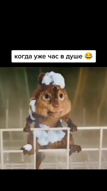 Элвин моется 🤣