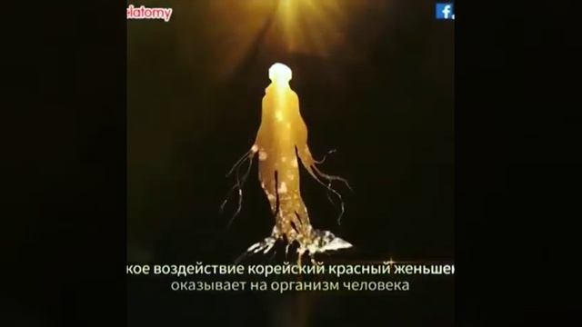 красный женьшень смотреть онлайн
