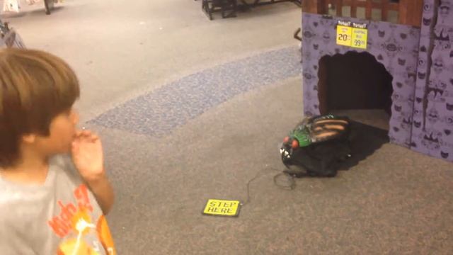 Cockroach hisses and jumps! смотреть онлайн