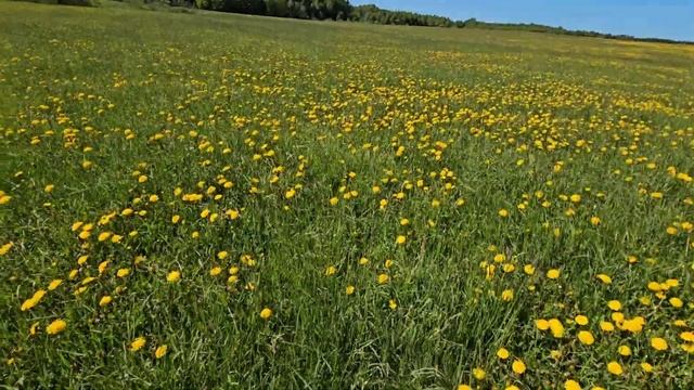 ukis.zemaitija/s2#23 darbai, Lenkija, darbai смотреть онлайн
