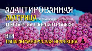 Папилломавирусная инфекция  🎶 программа матрица по технологии Гаряева П.П ☀️ SoftRadio.ru