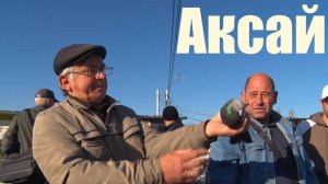 Птичий рынок. Ростов-на-Дону. Аксай. [19.04.2025]