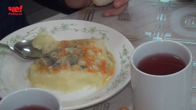 проверка столовых ср шк №2 смотреть онлайн