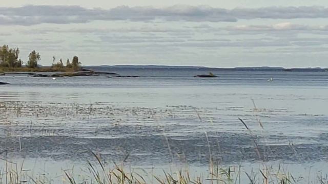 VID20210920161609 смотреть онлайн