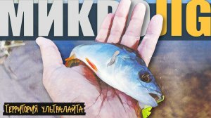 РЫБАЛКА НА ВОДОХРАНИЛИЩЕ  ► МИКРОДЖИГ