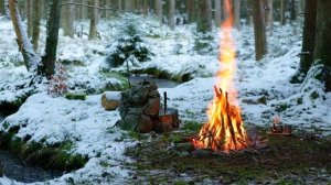 📺 Зимний костер в заснеженном лесу 🌲❄️ 100% аутентичные звуки