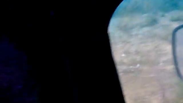 Погрузчик на заднею навеску МТЗ.