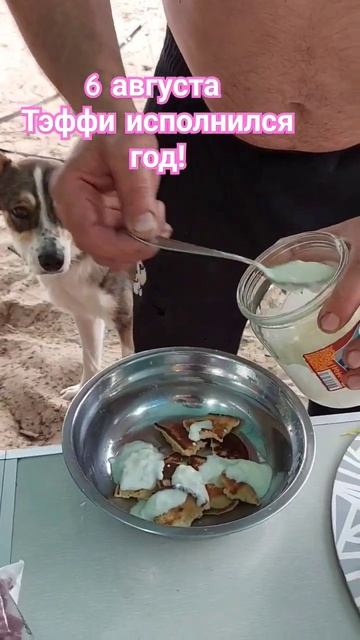 у #тэффи #деньрождения 6 августа #карелия #балу #домашниеживотные #онежскоеозеро