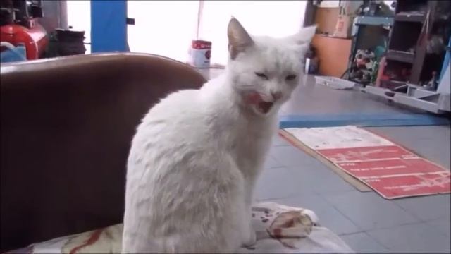 Пока нет Гайки/ смотреть онлайн