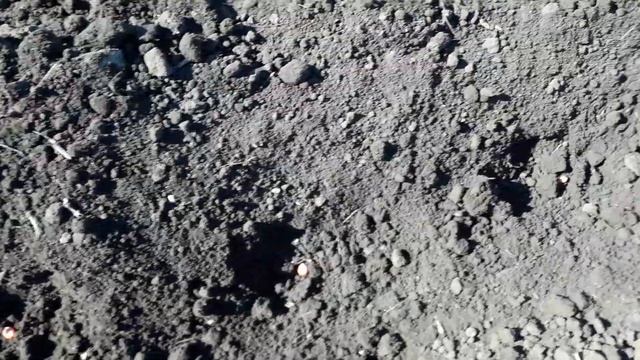 Посів кукурудзи 2021. Демо поле. смотреть онлайн