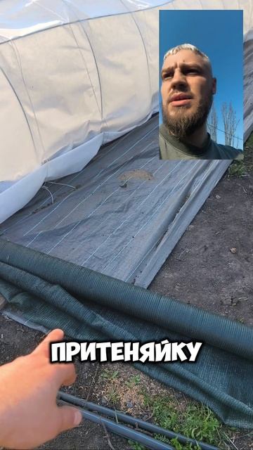 Подготовка второго череночника к черенкованию 🥰 смотреть онлайн