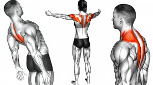 Эти упражнения могут улучшить ваше здоровье и физические способности