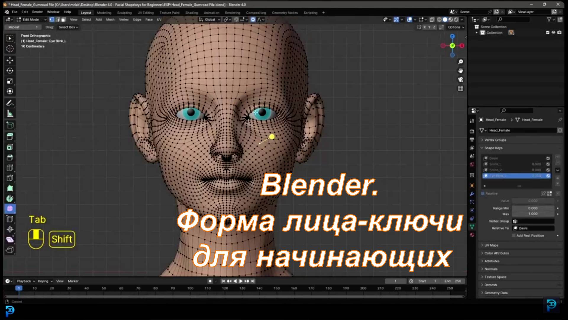 Blender Форма лица-ключи для начинающих смотреть онлайн