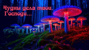 Чудны дела твои, Господи!...