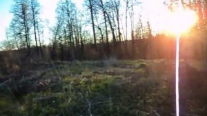 Коп 11 Барская усадьба,и не много копа в деревне напротив