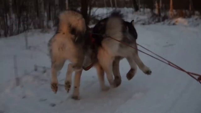 10 января 2021 г. смотреть онлайн