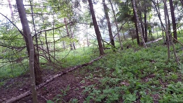 2017.06.10-12 Линия Фронта 17 (СК "ПОЛЫНЬ") смотреть онлайн