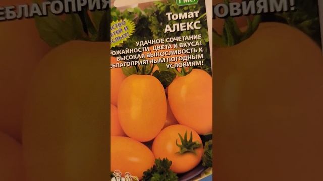 12 января 2024 г. смотреть онлайн