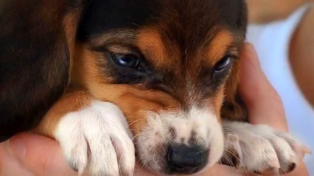 Лучшая клубная музыка . Просто мега! Полет души!