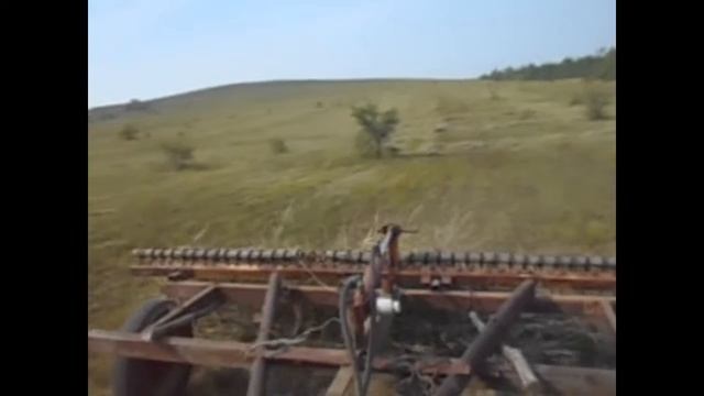 Сенокос 2016 смотреть онлайн