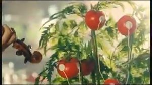 Реклама Heinz: Кетчуп Хайнц - помидорная симфония