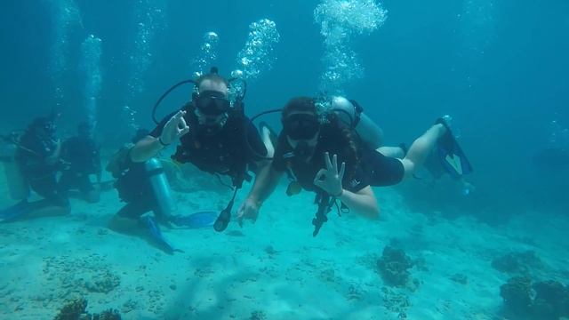 J+263 Découvrir la plongée à Mango Bay ! смотреть онлайн