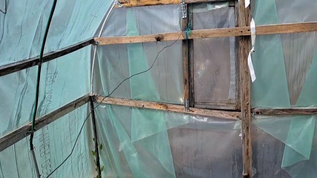 На улице дождь и град,а мы высадили всю рассаду🤔