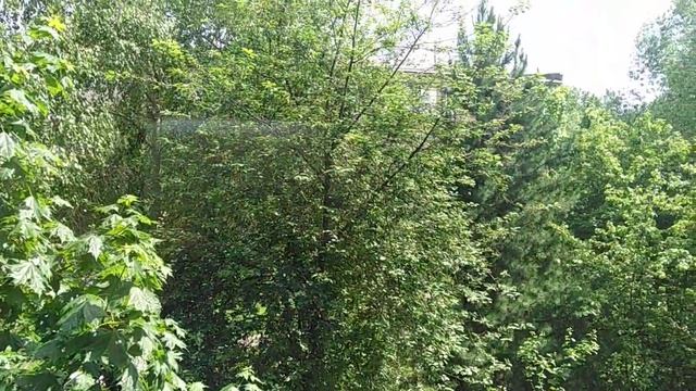 11 июня 2020 г. смотреть онлайн