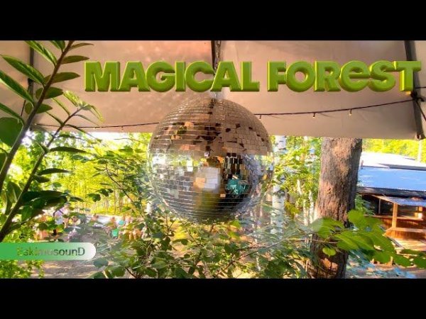 Magical Forest // Electronic // Lounge // Chill // DJ RIIA 2022