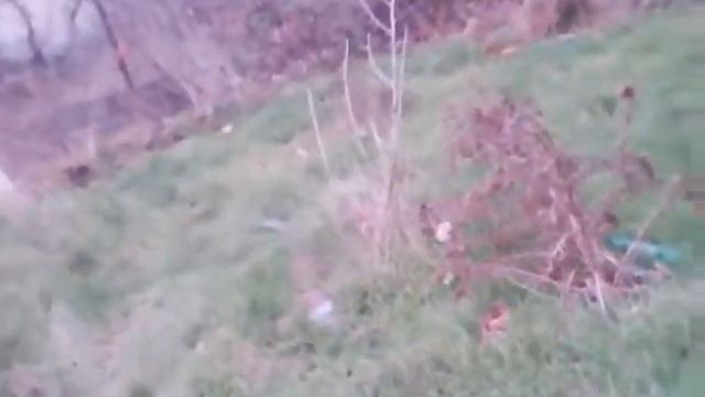 Тень под дверью смотреть онлайн