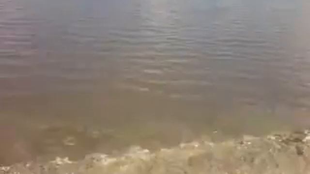 ДТ-75 РЕМОНТ ДАМБЫ смотреть онлайн