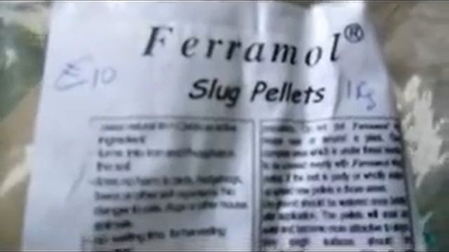 Is this the Best Organic Natural Slug Control in the World? смотреть онлайн