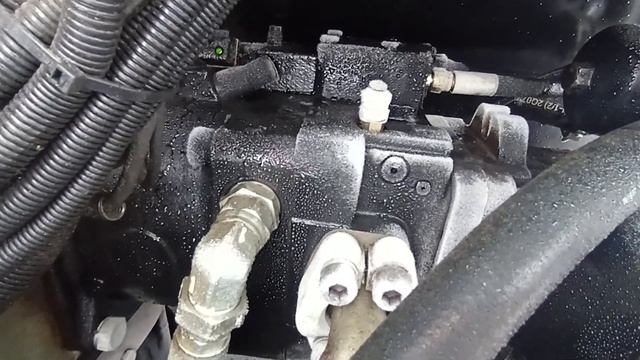 Джон Дир лес 2024г