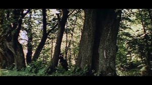 Стрелы Робин Гуда, 1975. Баллада о вольных стрелках.