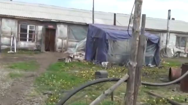 Бросают мотыги и представляются туристами смотреть онлайн