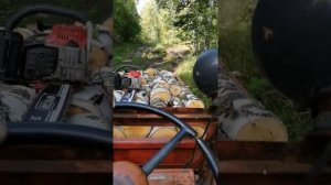 Поездка за дровами на т 16