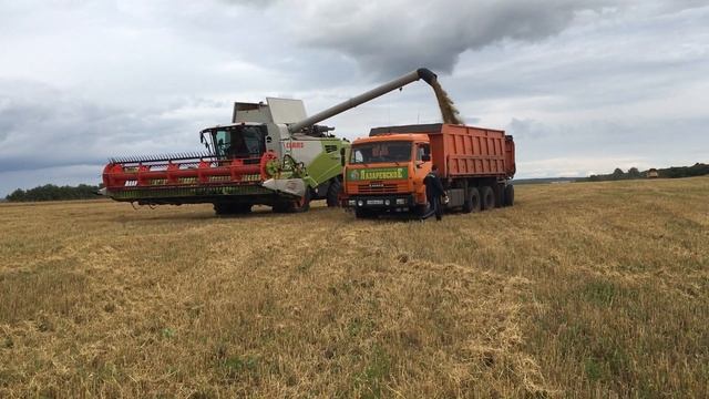Комбайн CLAAS Tucano 580 с жаткой ConvioFlex 770 Тульская обл (2). смотреть онлайн