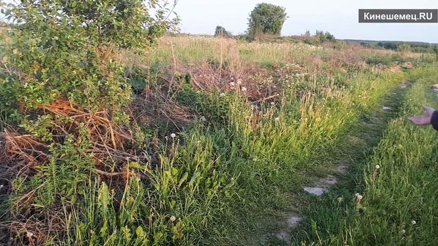 Чиновники вынудили многодетную семью избавиться от коровы-кормилицы смотреть онлайн