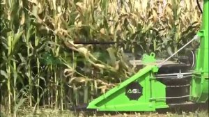 Комбайн для уборки кукурузы M-Twin.