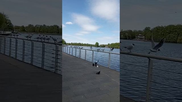 Гуляю по набережной на водохранилище смотреть онлайн