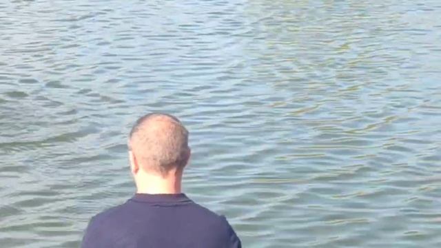 WhatsApp Video 2025-04-19 at 09.46.40 смотреть онлайн