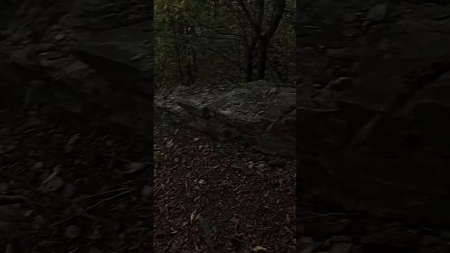 Горловка. Пятовский ставок. Водопад(был😭). 08.10.2022г.