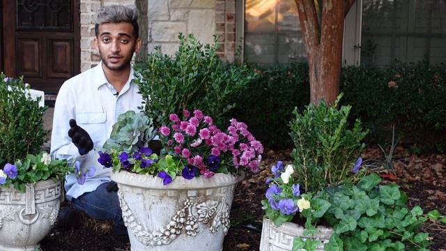 Pansy 🌸 & Mum Containers! 🌺 смотреть онлайн