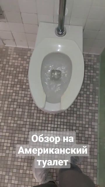 Почему у Американцев в унитазе так много воды ? #сша #америка #жизньвсша Тг канал: Petlenko Travel смотреть онлайн