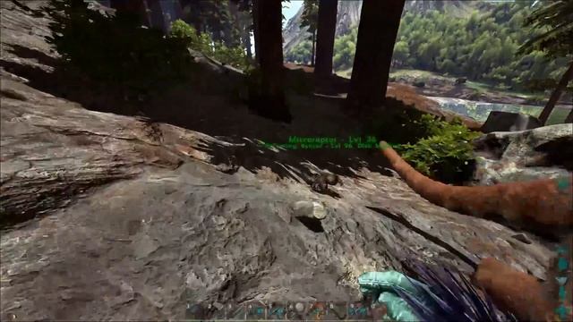MICRORAPTOR TAMING! BREEDING + IMPRINTING! PHEROMONE AGRO DARTS! - Ark: Survival Evolved [S3E64] смотреть онлайн