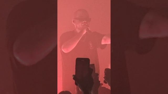 ATL - Марабу | Live Tel Aviv