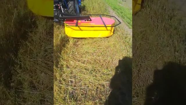 Dw 244 работа(1) смотреть онлайн