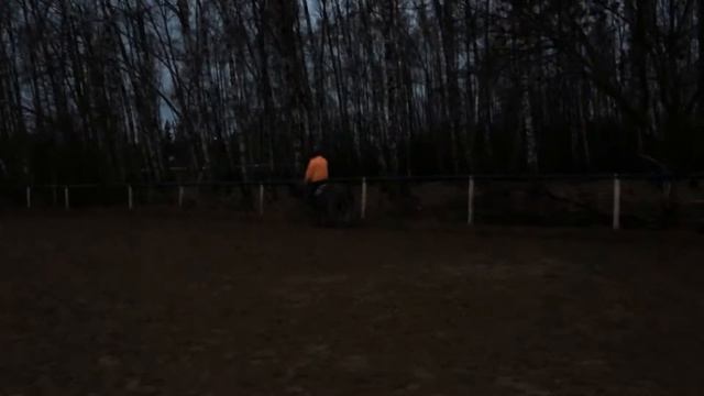 Тренировка на Ослике Счастливчике (ШВЕ Династия) смотреть онлайн