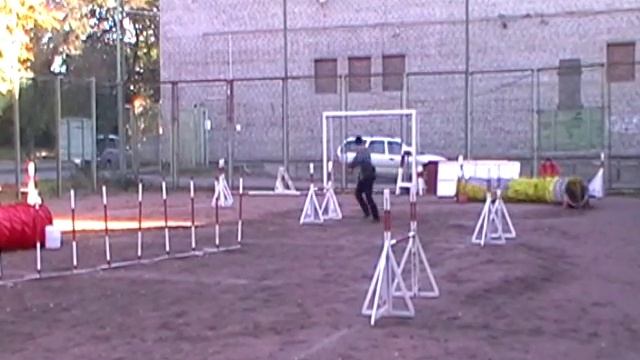 Вик. Джампинг.