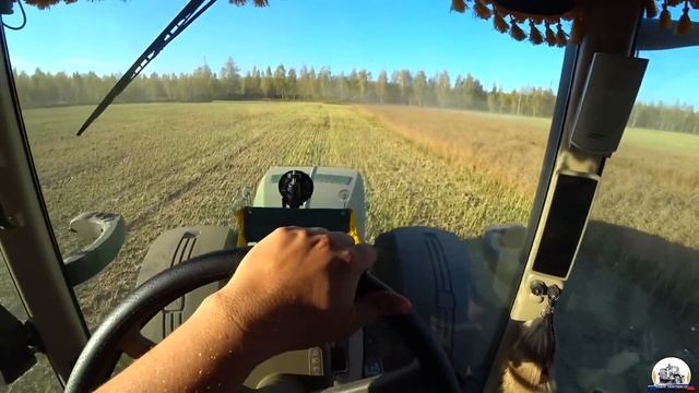 Рапс на восстановленном поле, после корчевания деревьев. Работа комбайнов John Deere. смотреть онлайн